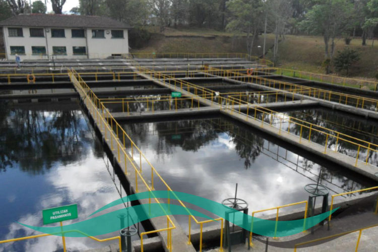 ICYS FOTO 1 ICYS FOTO 1