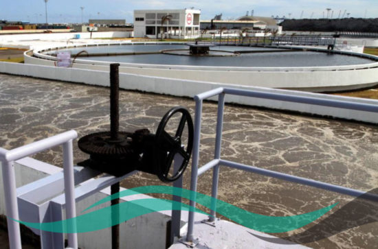 ICYS FOTO 11 ICYS FOTO 11