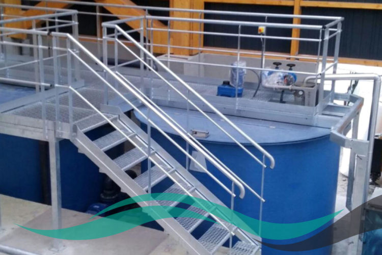 ICYS FOTO 2 ICYS FOTO 2