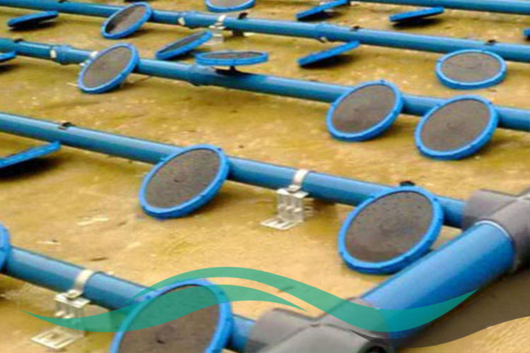 ICYS FOTO 3 ICYS FOTO 3